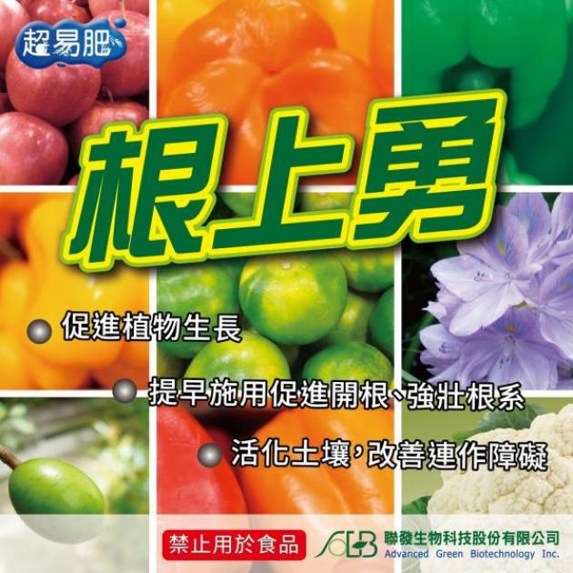 【超易肥】根上勇